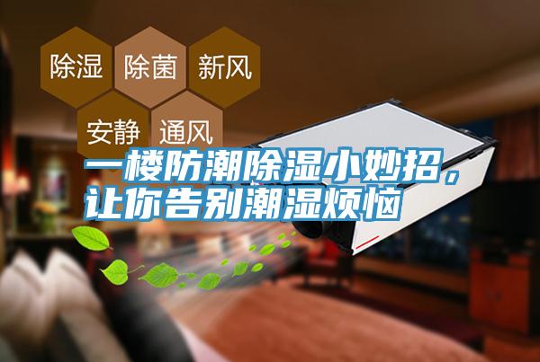 一樓防潮除濕小妙招，讓你告別潮濕煩惱