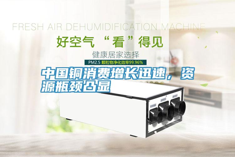中國(guó)銅消費(fèi)增長(zhǎng)迅速，資源瓶頸凸顯