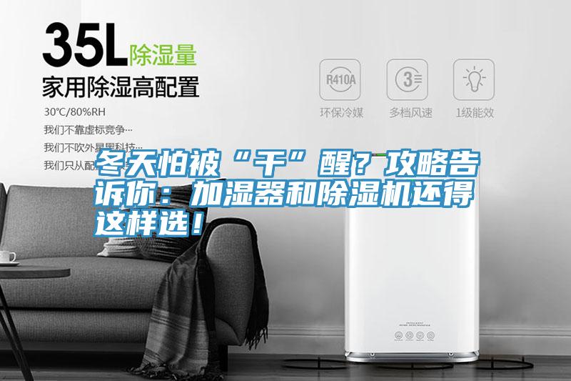 冬天怕被“干”醒？攻略告訴你：加濕器和除濕機還得這樣選！