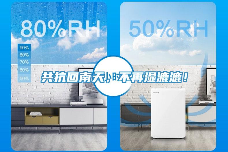 共抗回南天，不再濕漉漉！