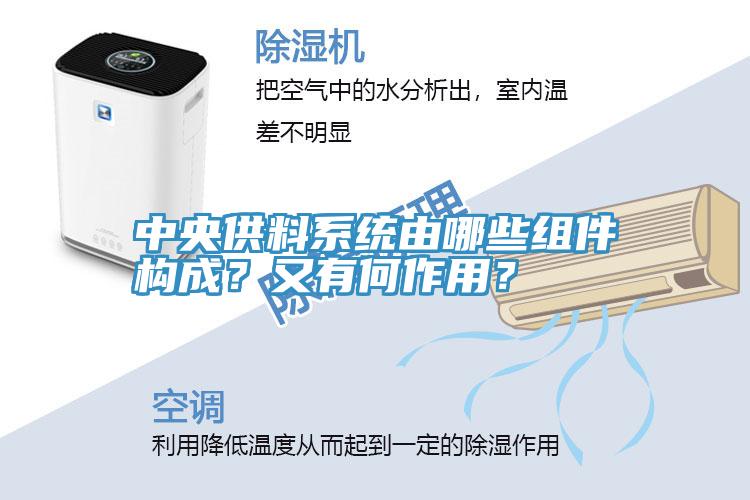 中央供料系統(tǒng)由哪些組件構(gòu)成？又有何作用？