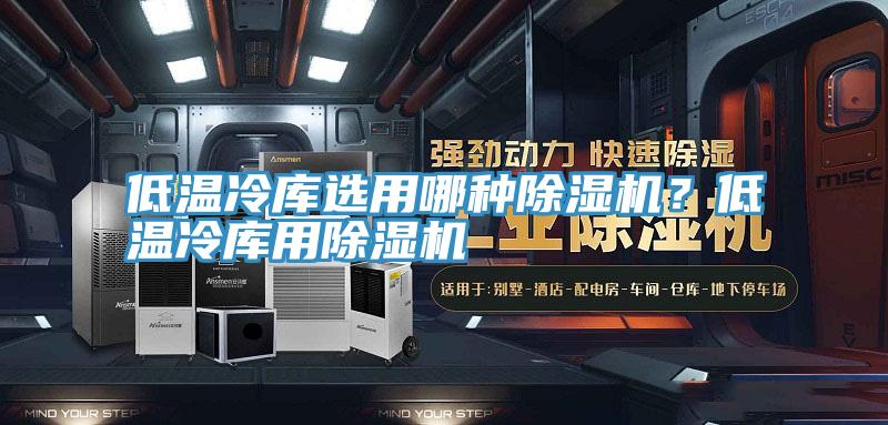 低溫冷庫選用哪種除濕機？低溫冷庫用除濕機