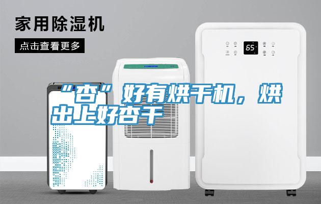 “杏”好有烘干機(jī)，烘出上好杏干