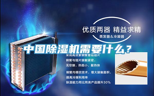 中國除濕機需要什么？