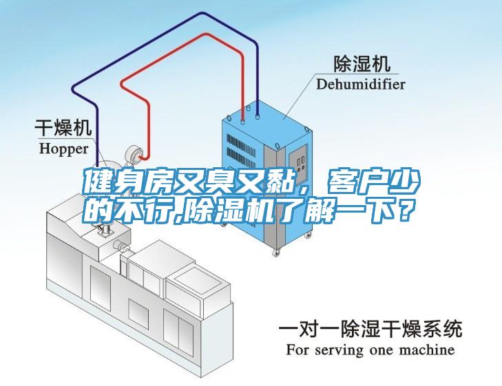 健身房又臭又黏，客戶少的不行,除濕機(jī)了解一下？