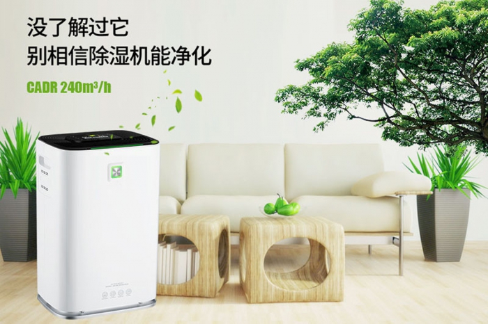 一到回南天狗狗就感冒+皮膚病，怎么辦？