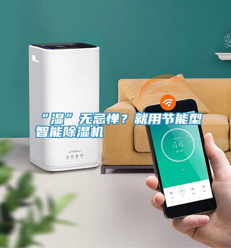 “濕”無忌憚？就用節(jié)能型智能除濕機(jī)