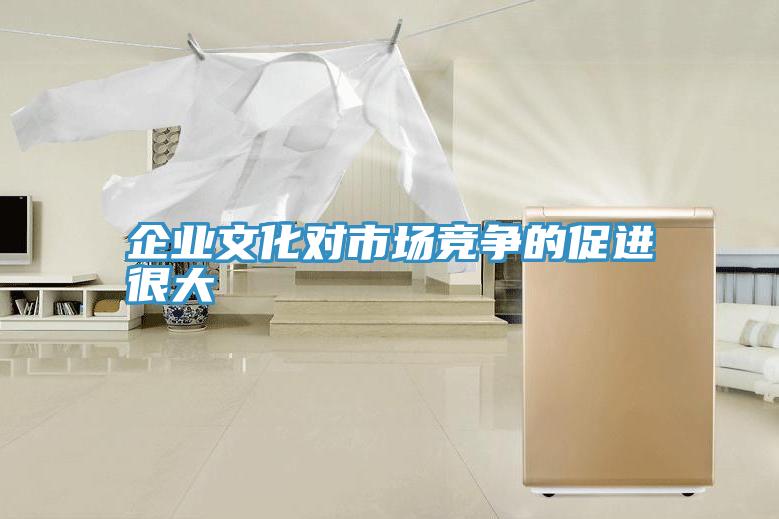 企業(yè)文化對(duì)市場競爭的促進(jìn)很大