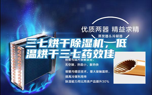 三七烘干除濕機，低溫烘干三七藥效佳