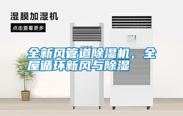 全新風管道除濕機，全屋循環(huán)新風與除濕