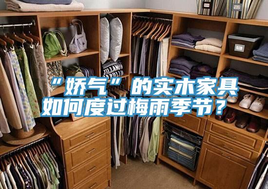 “嬌氣”的實(shí)木家具如何度過梅雨季節(jié)？