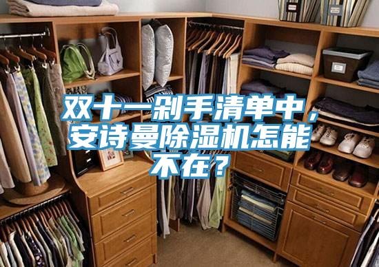 雙十一剁手清單中，安詩(shī)曼除濕機(jī)怎能不在？