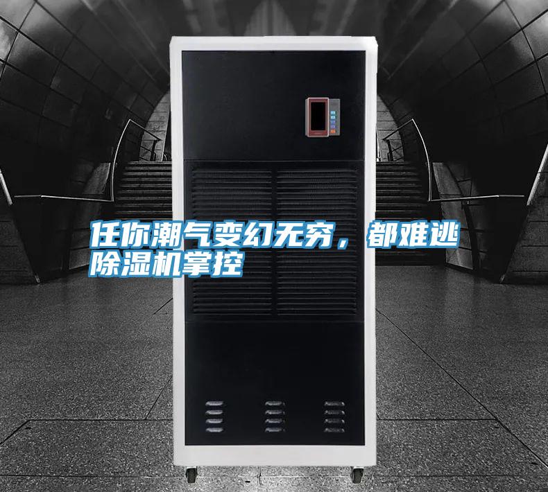 任你潮氣變幻無窮，都難逃除濕機(jī)掌控