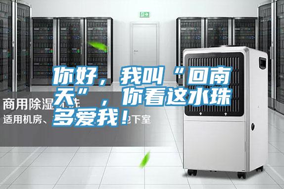 你好，我叫“回南天”，你看這水珠多愛我！
