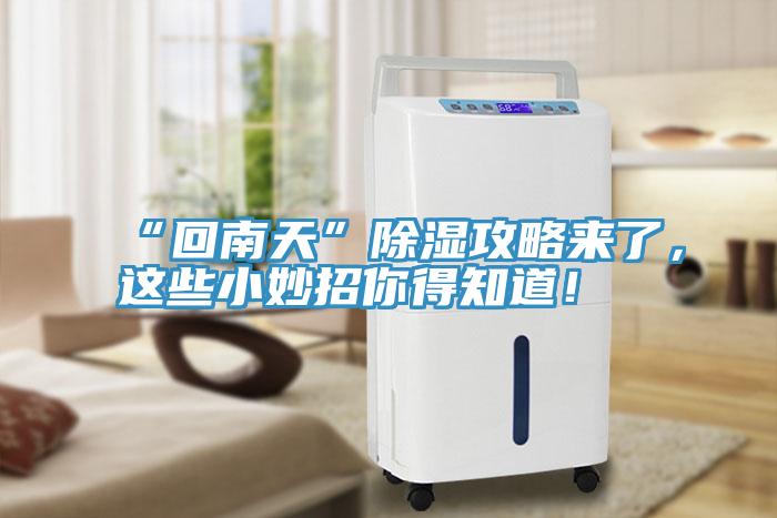 “回南天”除濕攻略來了，這些小妙招你得知道！
