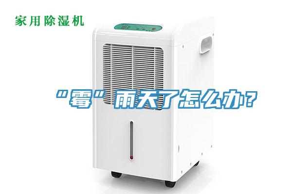 “霉”雨天了怎么辦？