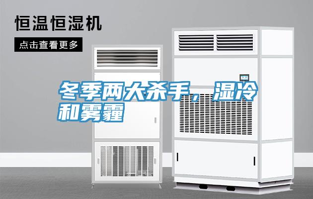 冬季兩大殺手，濕冷和霧霾