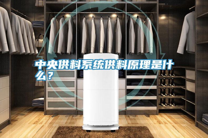 中央供料系統(tǒng)供料原理是什么？
