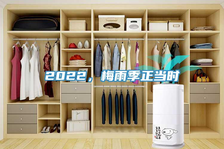 2022，梅雨季正當(dāng)時