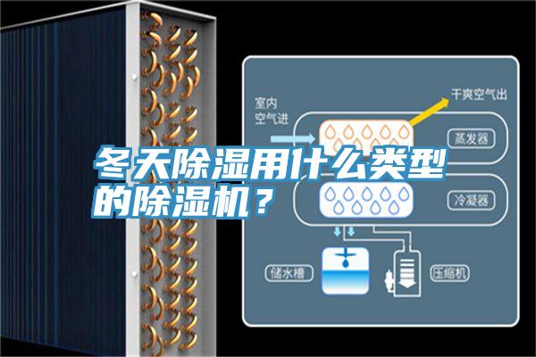 冬天除濕用什么類型的除濕機(jī)？