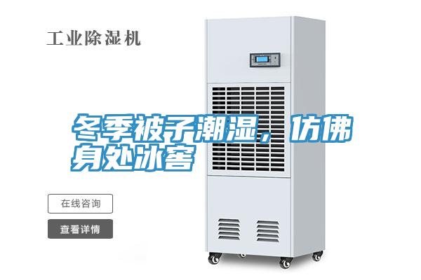 冬季被子潮濕，仿佛身處冰窖