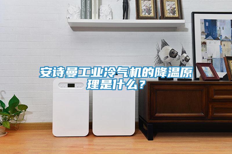安詩曼工業(yè)冷氣機的降溫原理是什么？