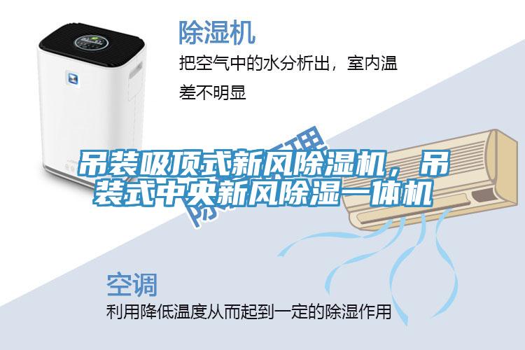 吊裝吸頂式新風(fēng)除濕機，吊裝式中央新風(fēng)除濕一體機