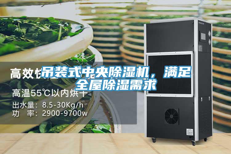 吊裝式中央除濕機，滿足全屋除濕需求