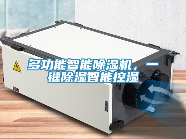 多功能智能除濕機(jī)，一鍵除濕智能控濕