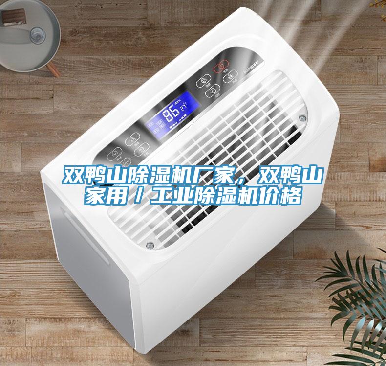 雙鴨山除濕機廠家，雙鴨山家用／工業(yè)除濕機價格