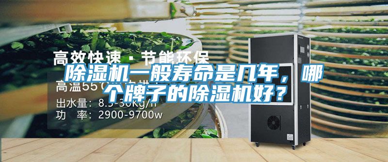 除濕機一般壽命是幾年，哪個牌子的除濕機好？