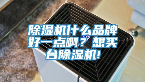 除濕機什么品牌好一點啊？想買臺除濕機!
