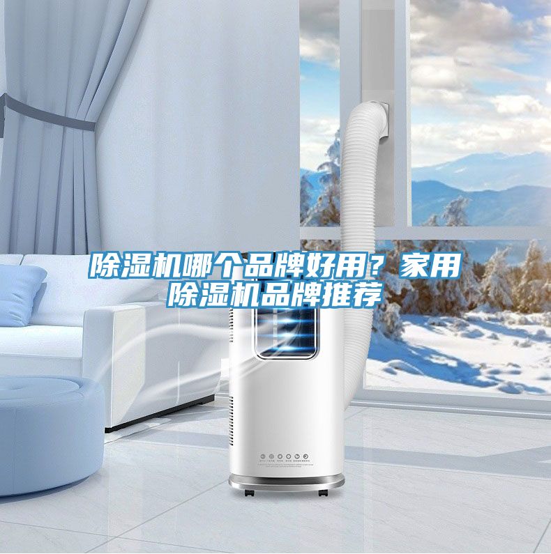 除濕機哪個品牌好用？家用除濕機品牌推薦