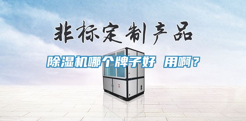 除濕機(jī)哪個(gè)牌子好 用?。?></div>
								<div   id=