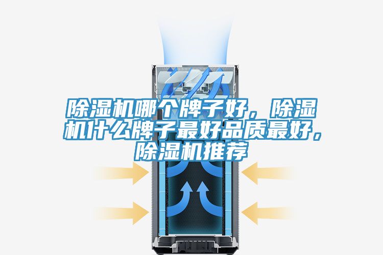 除濕機(jī)哪個牌子好，除濕機(jī)什么牌子最好品質(zhì)最好，除濕機(jī)推薦