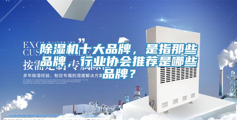 除濕機(jī)十大品牌，是指那些品牌，行業(yè)協(xié)會(huì)推薦是哪些品牌？