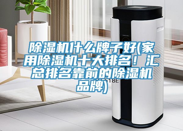 除濕機什么牌子好(家用除濕機十大排名！匯總排名靠前的除濕機品牌)