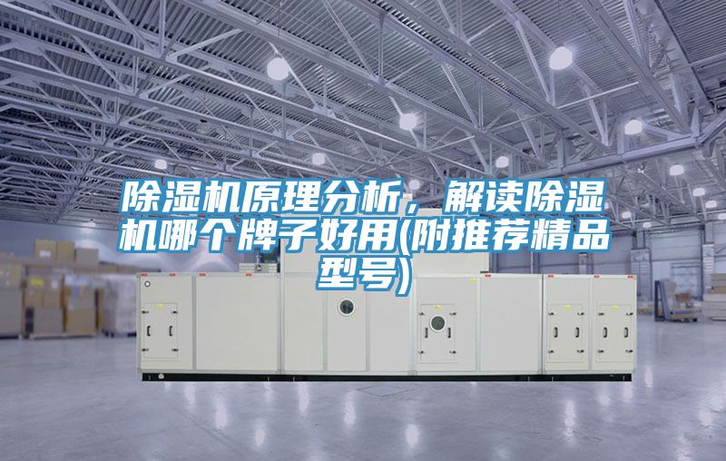 除濕機(jī)原理分析，解讀除濕機(jī)哪個牌子好用(附推薦精品型號)