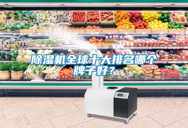 除濕機(jī)全球十大排名哪個(gè)牌子好？