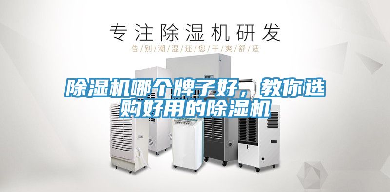 除濕機(jī)哪個牌子好，教你選購好用的除濕機(jī)