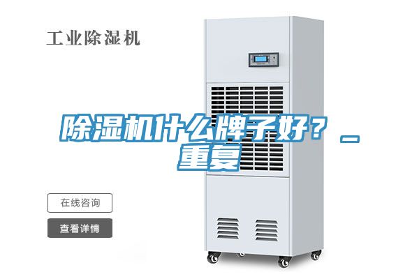 除濕機什么牌子好？_重復