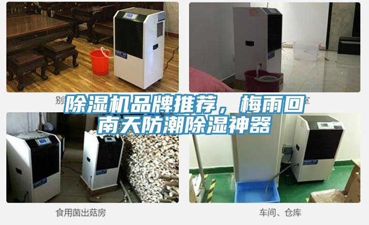 除濕機品牌推薦，梅雨回南天防潮除濕神器