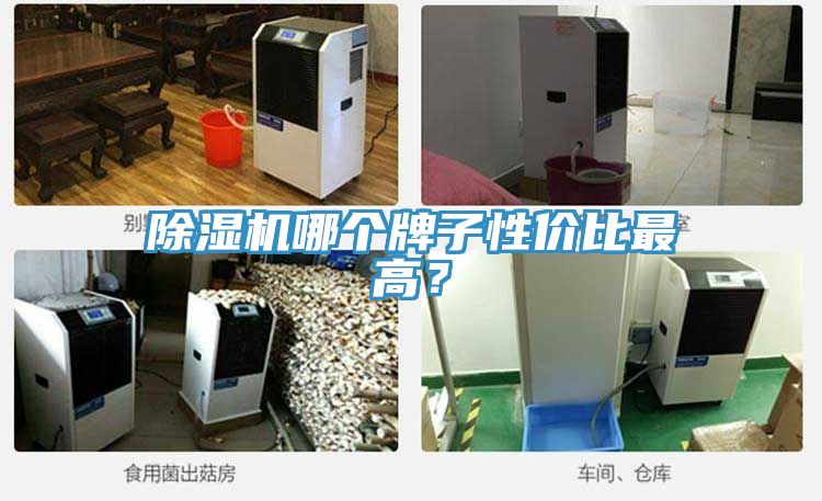 除濕機(jī)哪個(gè)牌子性價(jià)比最高？