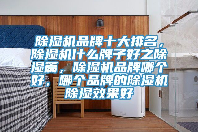 除濕機品牌十大排名，除濕機什么牌子好之除濕篇，除濕機品牌哪個好，哪個品牌的除濕機除濕效果好