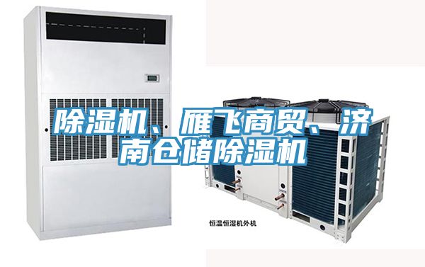 除濕機(jī)、雁飛商貿(mào)、濟(jì)南倉儲(chǔ)除濕機(jī)