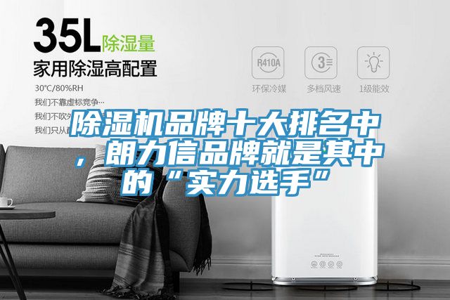 除濕機(jī)品牌十大排名中，朗力信品牌就是其中的“實(shí)力選手”