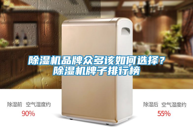 除濕機(jī)品牌眾多該如何選擇？除濕機(jī)牌子排行榜