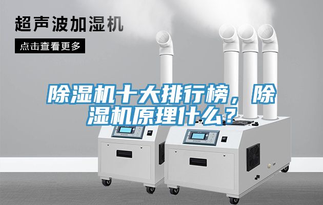 除濕機(jī)十大排行榜，除濕機(jī)原理什么？