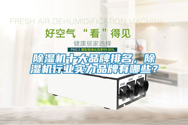 除濕機(jī)十大品牌排名，除濕機(jī)行業(yè)實力品牌有哪些？