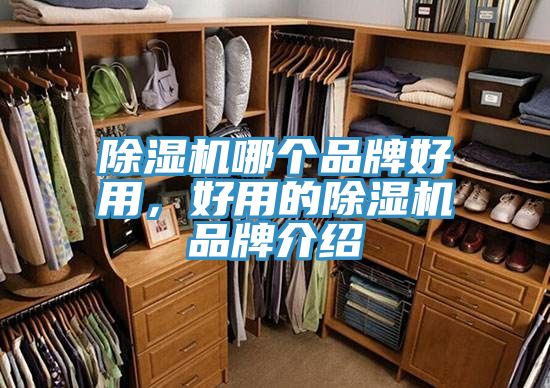 除濕機哪個品牌好用，好用的除濕機品牌介紹